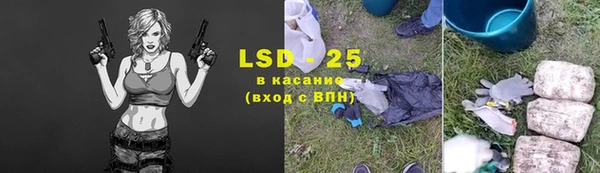 сатива Верея