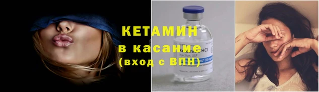 сатива Верея
