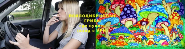 СК Тобольск