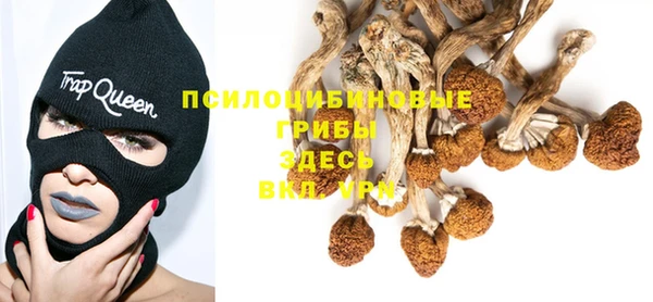 сатива Верея